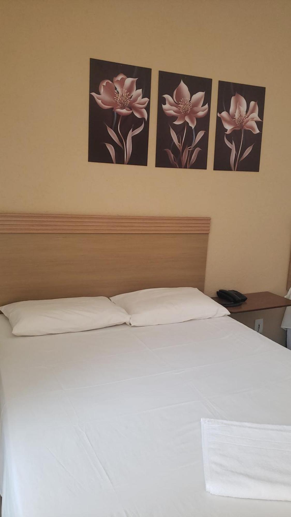Hotel Flamboia Araraquara Eksteriør bilde