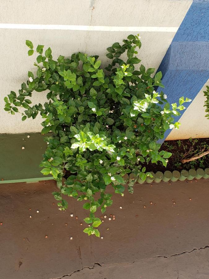 Hotel Flamboia Araraquara Eksteriør bilde